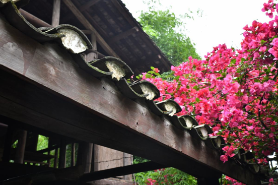 QQ圖片20190519131621.png