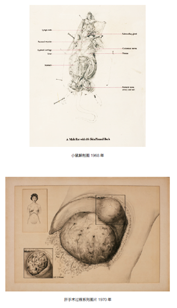 QQ圖片20190628175527.png