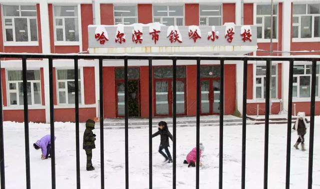 哈爾濱市鐵嶺小學(xué).jpg