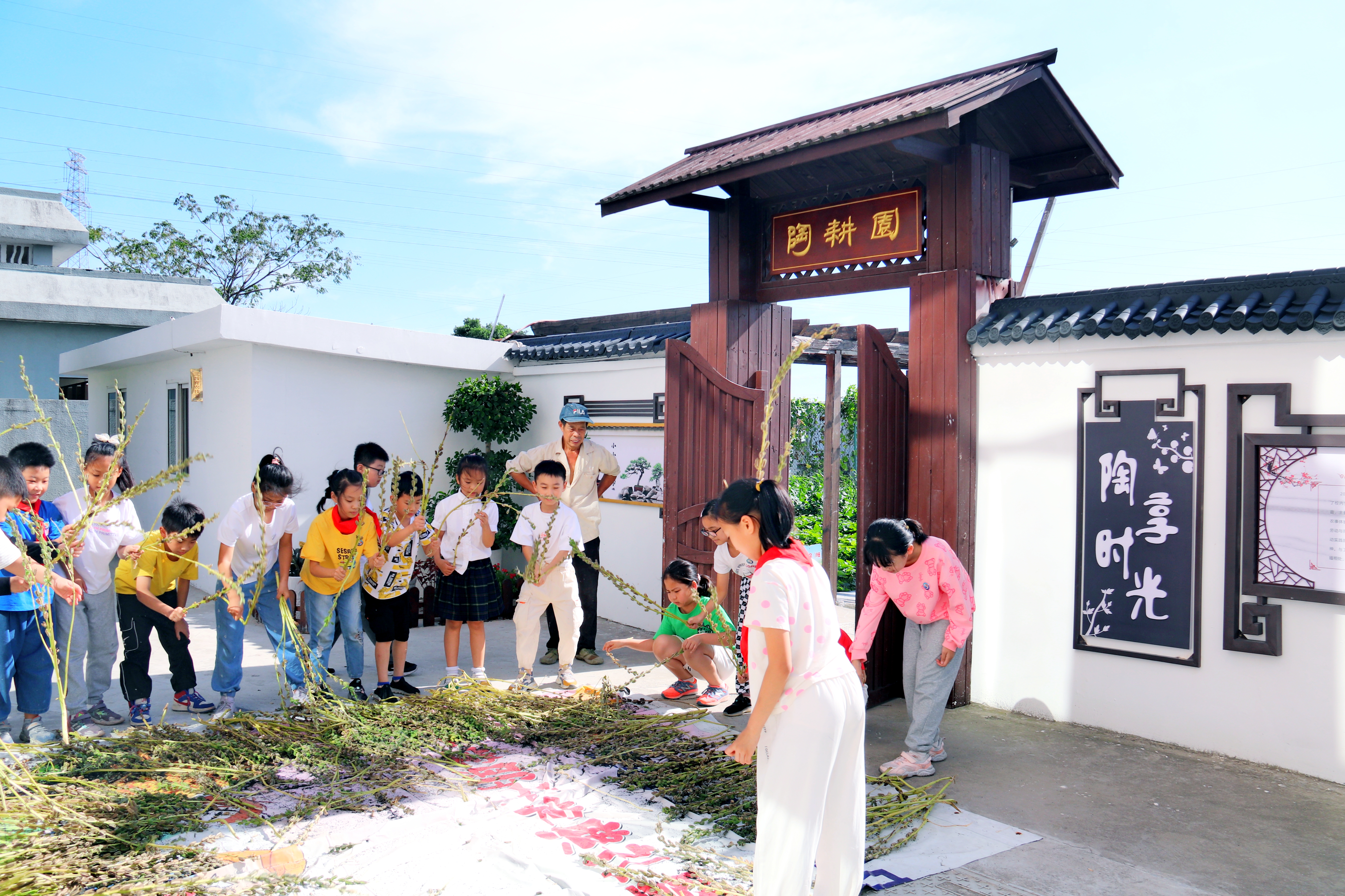 鎮(zhèn)海區(qū)九龍湖中心學校的學生在陶耕園勞作 學校供圖.jpg