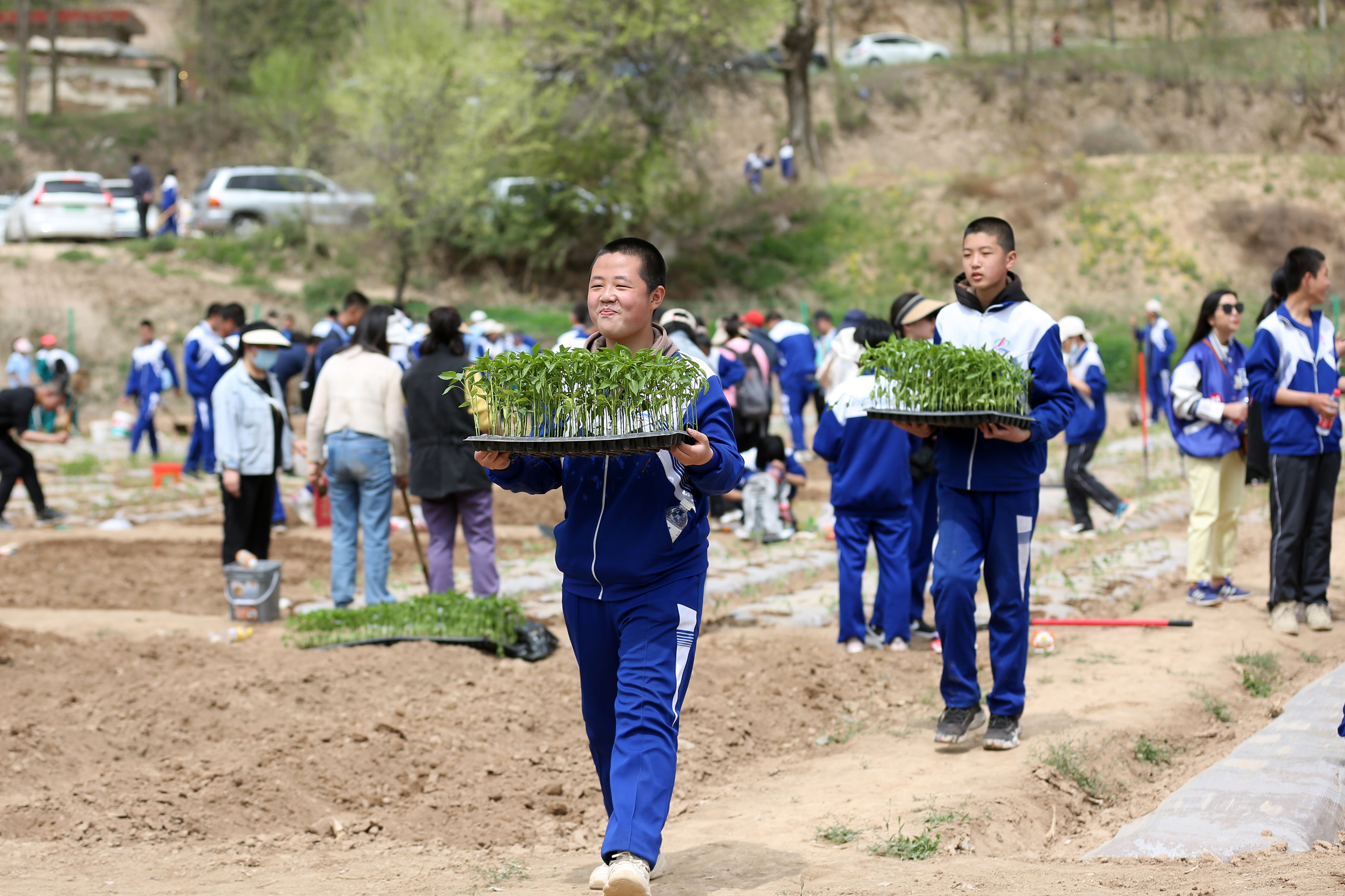 09——4月27日，在甘肅省平?jīng)鍪械谒闹袑W行知園學農(nóng)基地里，學生們在搬運辣椒苗。.JPG